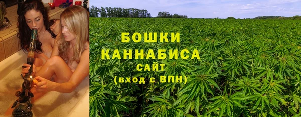 спайс Баксан
