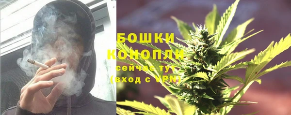 спайс Баксан