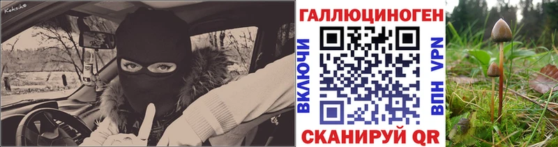 Псилоцибиновые грибы прущие грибы  наркошоп  Верея 